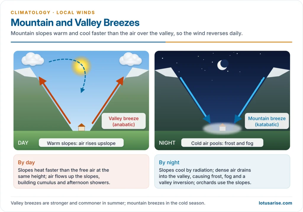 Valley (anabatic) breeze up the slopes by day and mountain (katabatic) breeze down the slopes by night