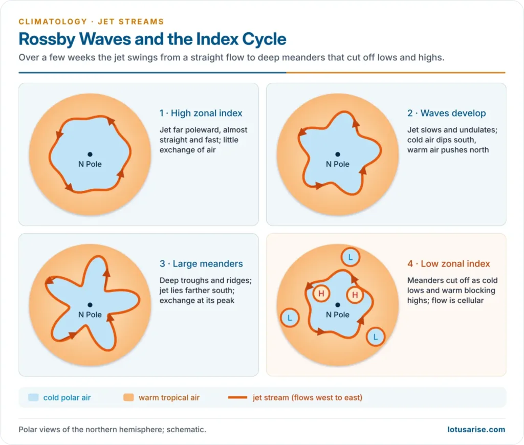 Index cycle of the jet stream: high zonal index, developing Rossby waves, large meanders and cut-off lows and highs