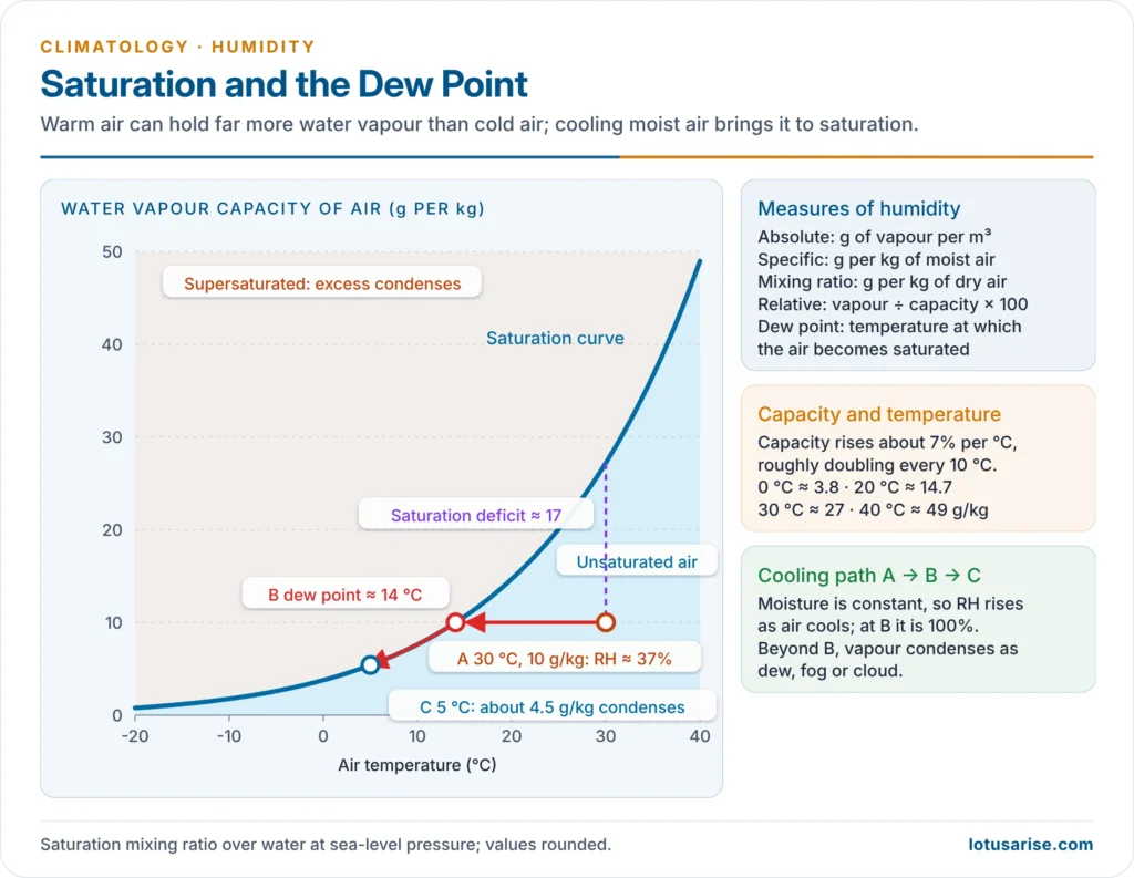 Saturation curve: the water vapour capacity of air rises steeply with temperature, and cooling moist air brings it to its dew point