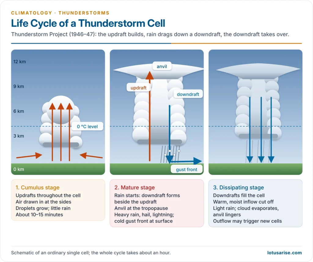 Three stages of a thunderstorm cell: cumulus, mature and dissipating, with updrafts, downdrafts, freezing level and gust front