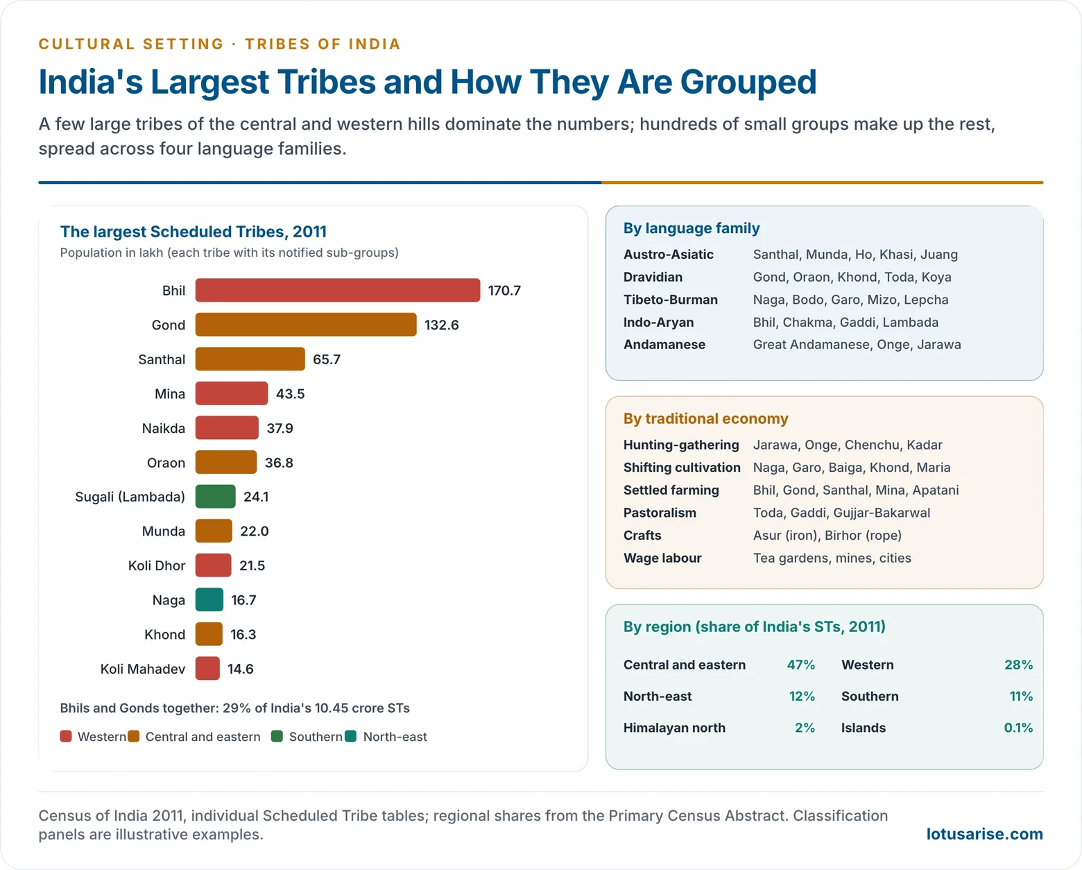 Bar chart of the largest Scheduled Tribes of India in Census 2011, led by the Bhils and Gonds, beside panels grouping tribes by language family and by traditional economy