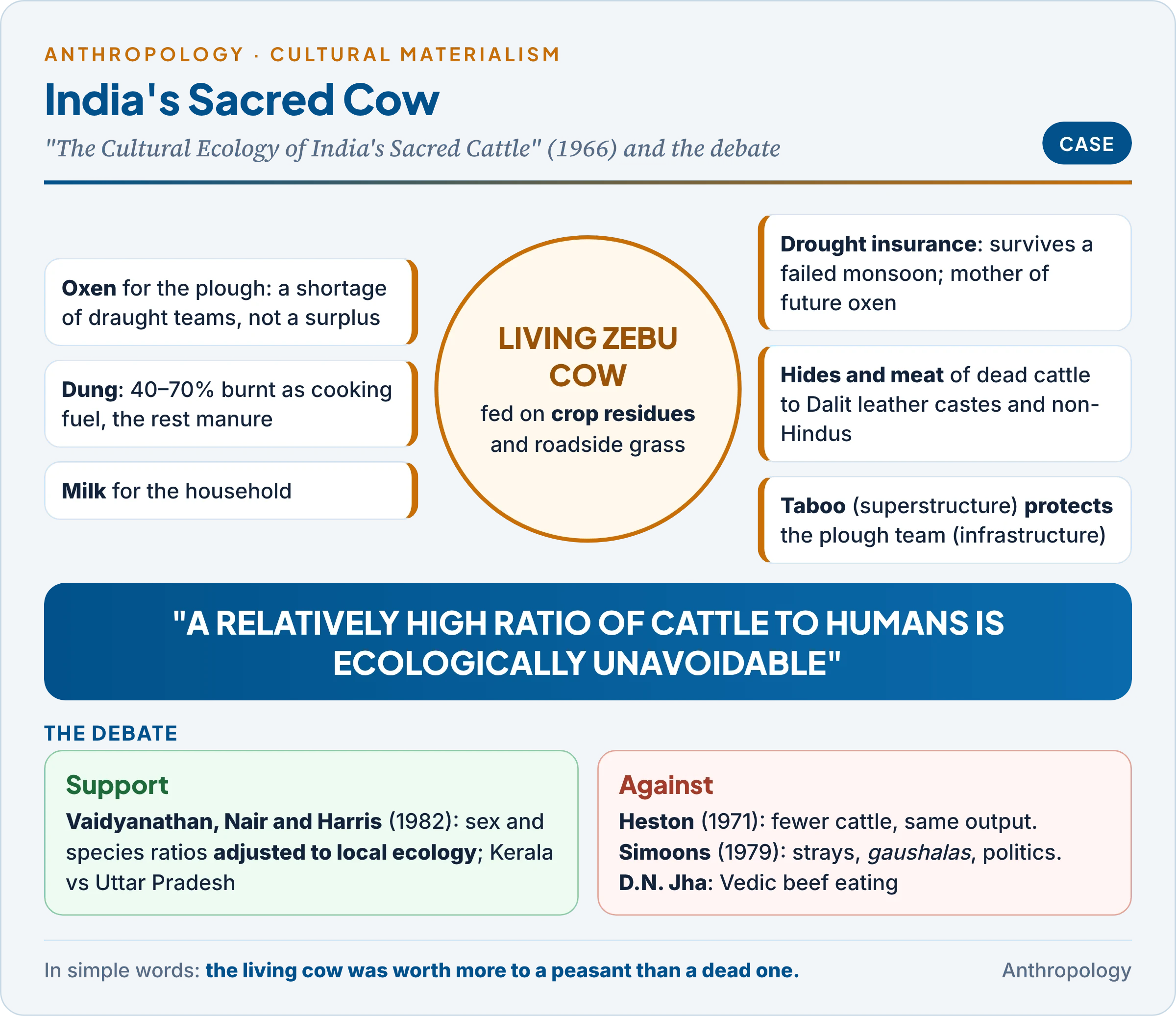 India's sacred cow as Harris saw it: the zebu cow at the centre, producing oxen for ploughing, dung for fuel and fertiliser, milk, and hides and meat for Dalit and non-Hindu groups, fed on crop residues, with drought insurance, and the critics Heston, Simoons and the historians on the other side