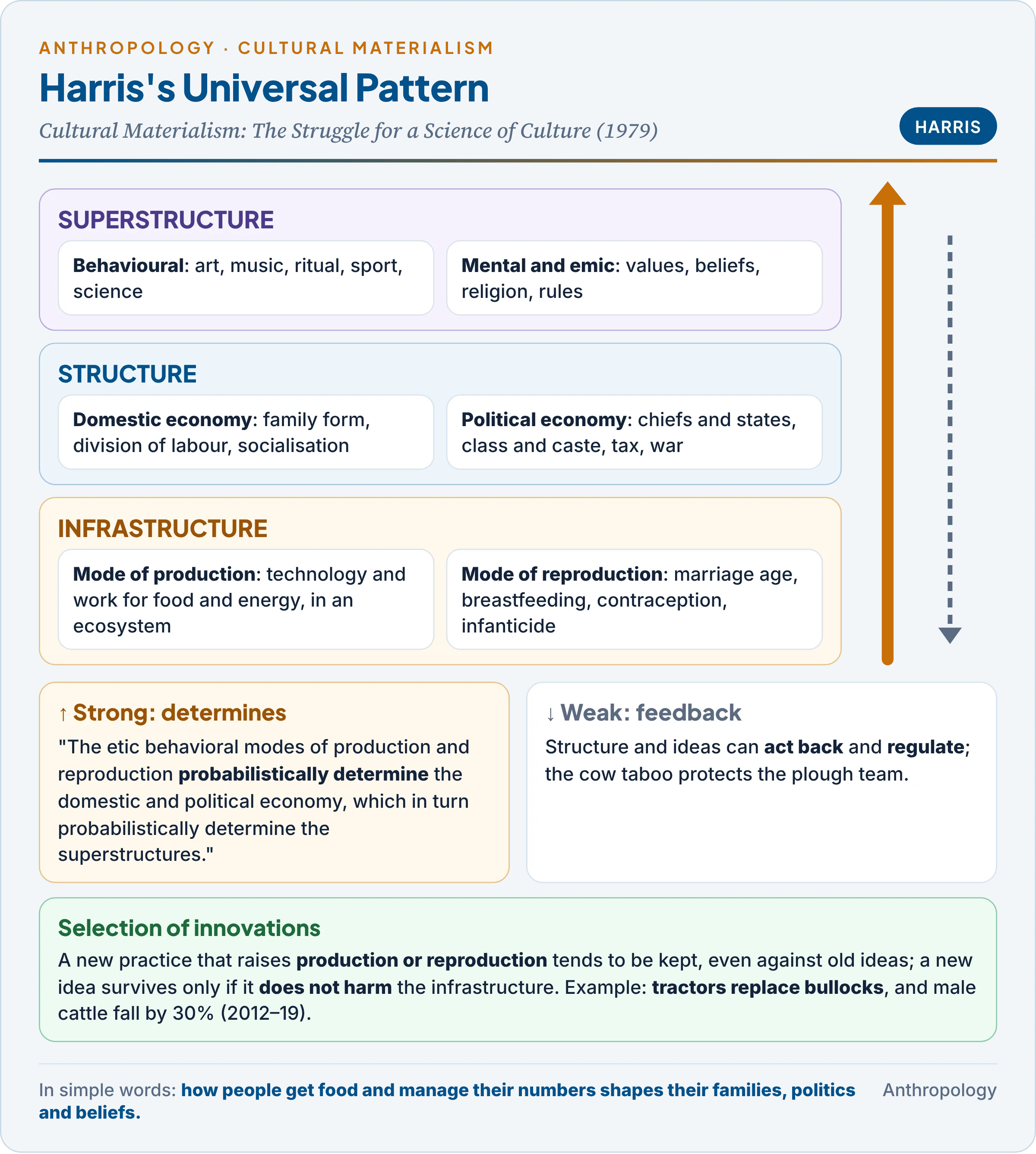 Harris's universal pattern as three layers: infrastructure (modes of production and reproduction), structure (domestic and political economy) and superstructure (behavioural and mental), with strong upward arrows of probabilistic determination, weaker feedback downward, and the selection of innovations