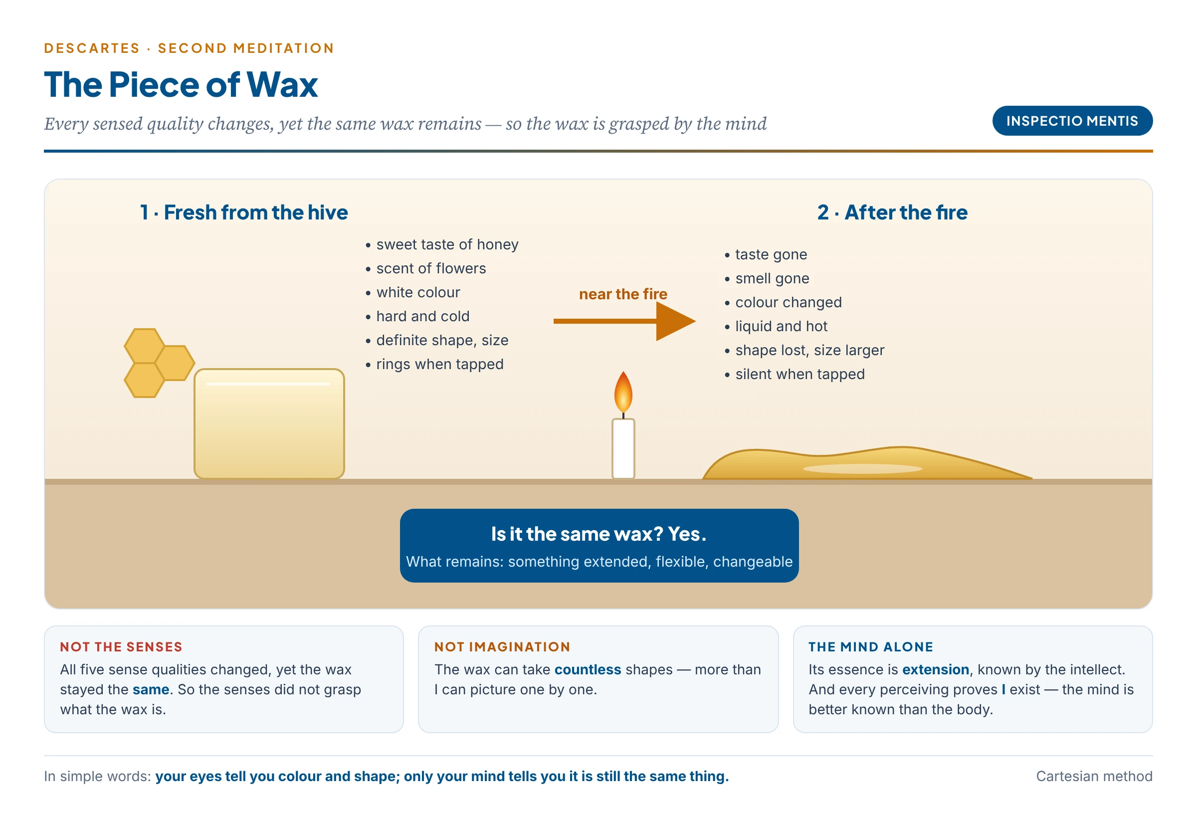 The wax argument: fresh wax and melted wax share no sensible quality, yet it is the same wax, known by the mind as something extended, flexible and changeable
