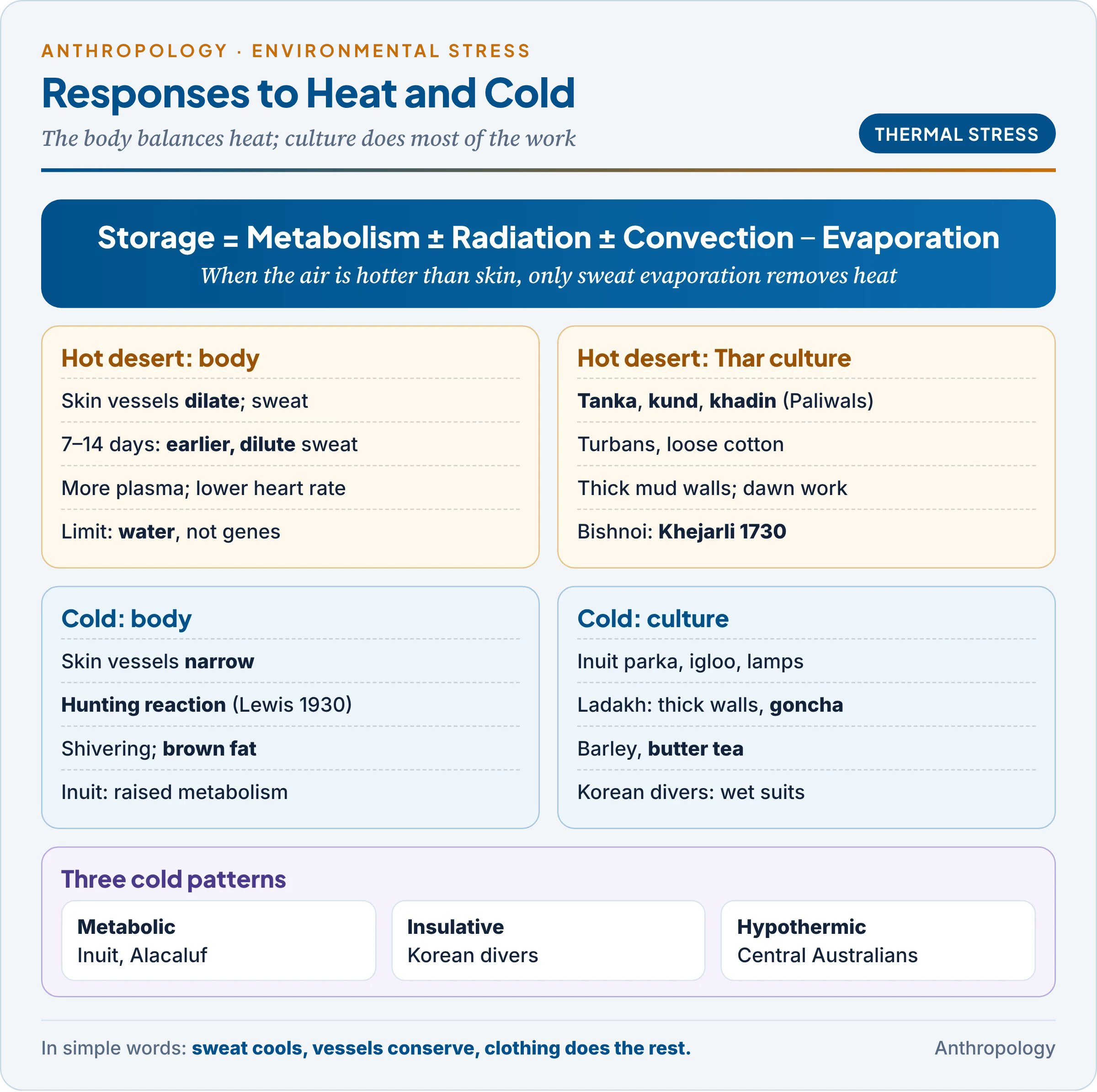 Responses to heat and cold side by side: the heat balance equation, sweating and acclimatisation in the Thar desert with tanka, khadin and turbans, and vasoconstriction, the Lewis hunting reaction, brown fat and metabolic, insulative and hypothermic cold patterns with the Inuit, Korean divers and Ladakhi houses