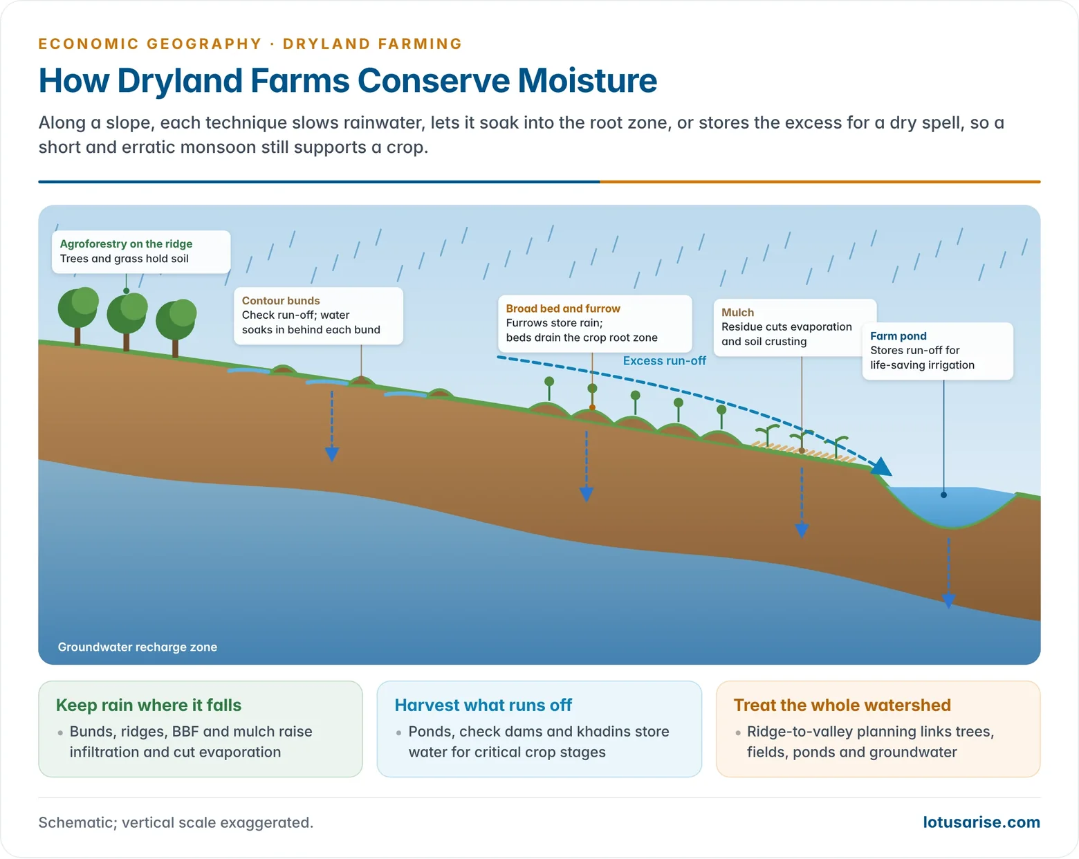 Cross-section of a dryland slope showing rainfall, run-off and infiltration with contour bunds, broad bed and furrow, mulching, a farm pond and agroforestry, and the role each plays in conserving moisture.