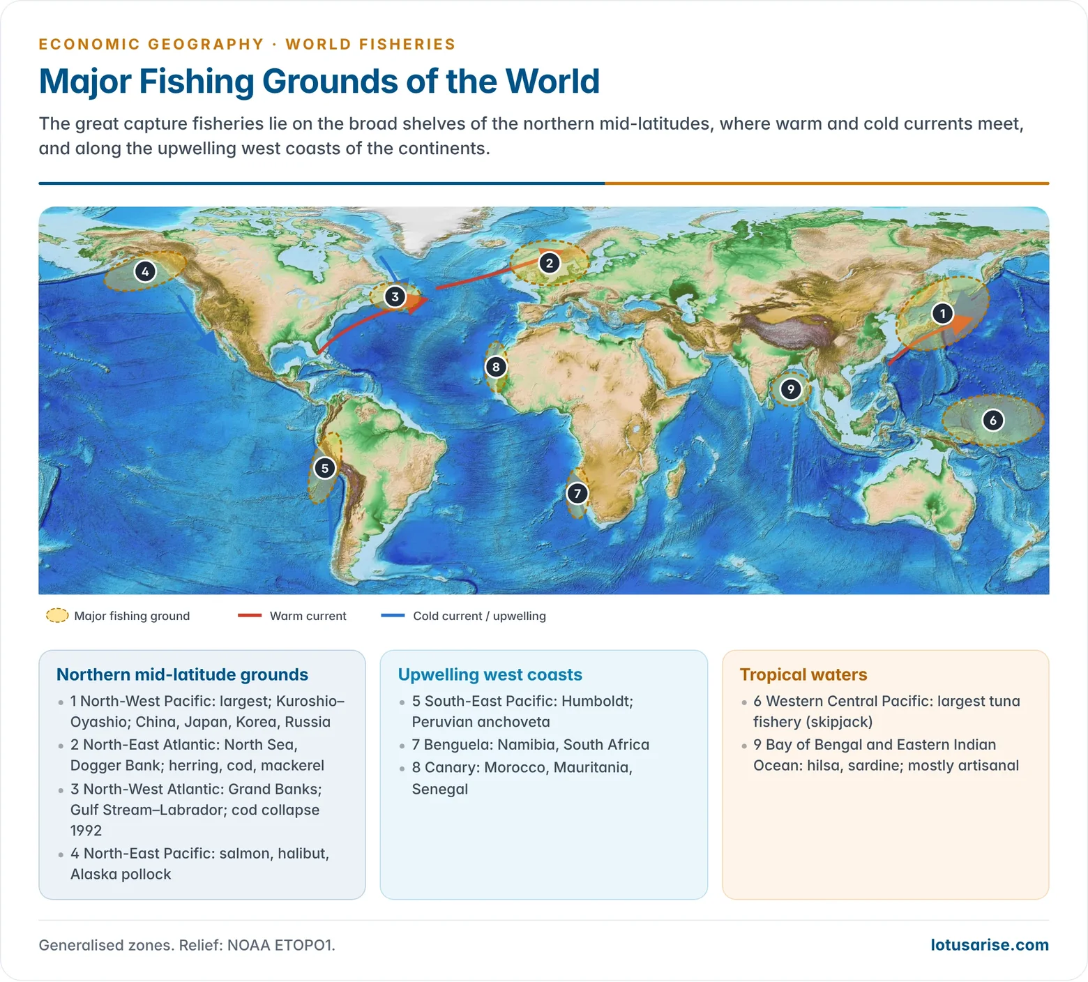 World relief map of the major fishing grounds with the warm and cold currents and upwelling zones that sustain them.