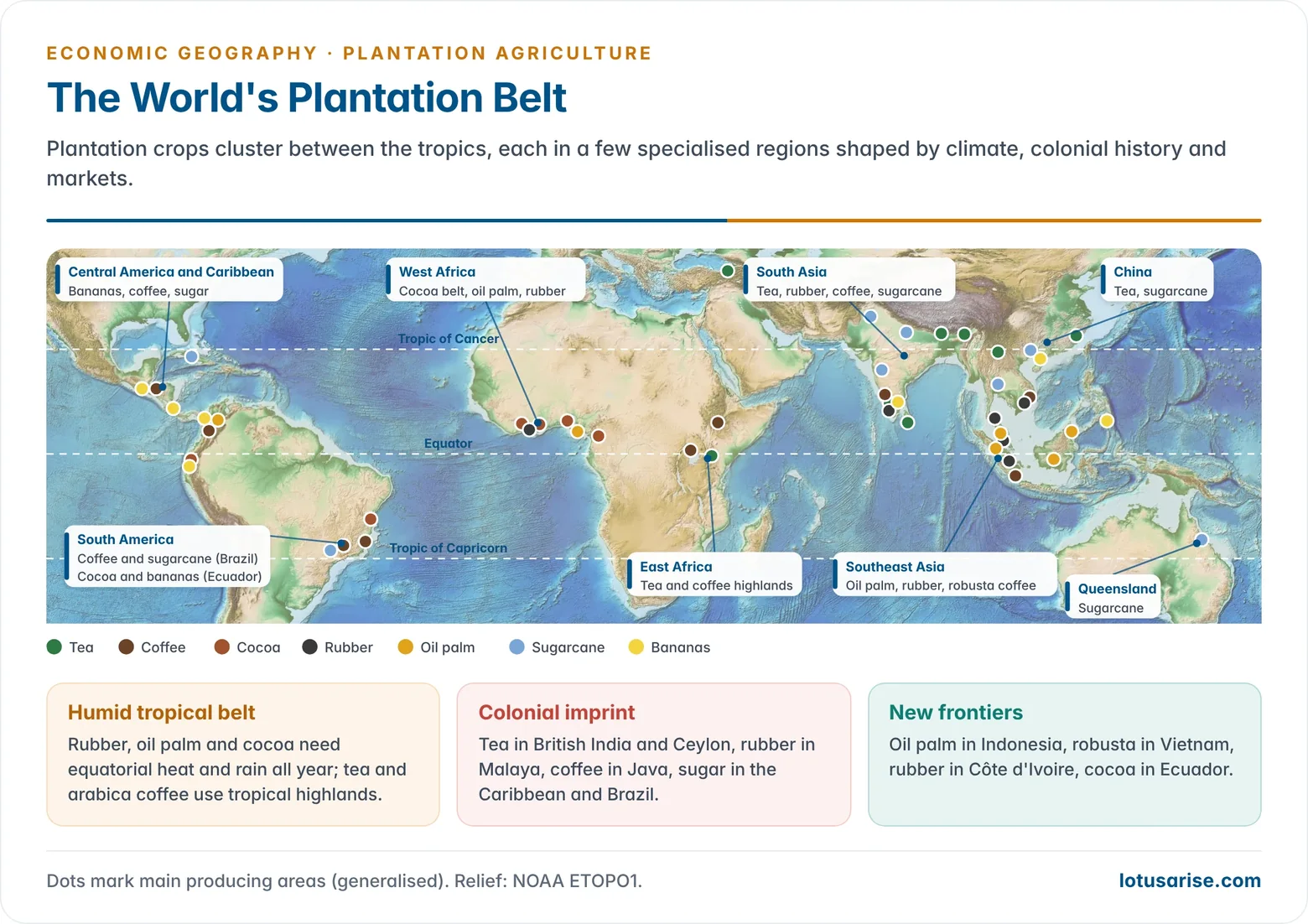 World map of the plantation belt between the tropics, marking the main producing regions of tea, coffee, cocoa, natural rubber, oil palm, sugarcane and bananas.