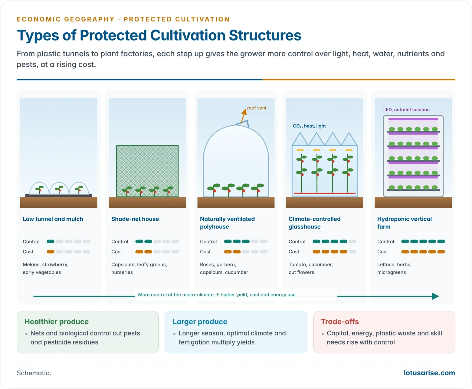 Illustrated cross-sections of protected cultivation structures from low tunnels and shade-net houses to naturally ventilated polyhouses, climate-controlled glasshouses and hydroponic vertical farms, arranged by rising control, cost and yield.