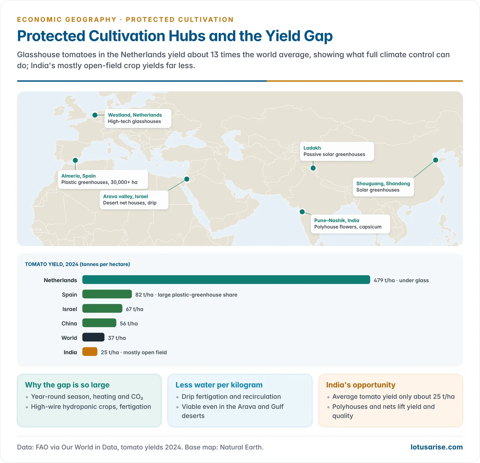 Bar chart comparing tomato yields per hectare in the Netherlands, Spain, Israel, China, the world average and India in 2024, with notes on the main protected cultivation hubs.