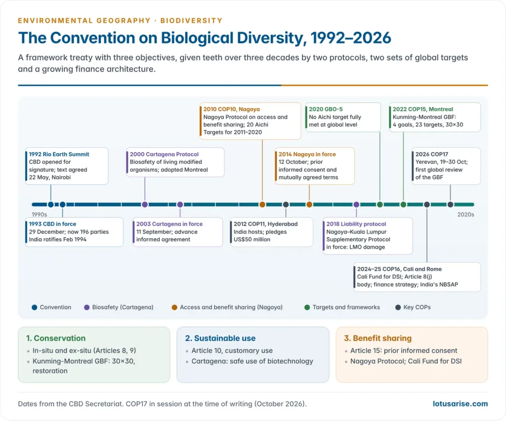Timeline of the Convention on Biological Diversity from the 1992 Rio Earth Summit through the Cartagena and Nagoya protocols, the Aichi targets, the Kunming-Montreal Global Biodiversity Framework and COP16 Cali and Rome to COP17 in Yerevan, with the three objectives of the convention