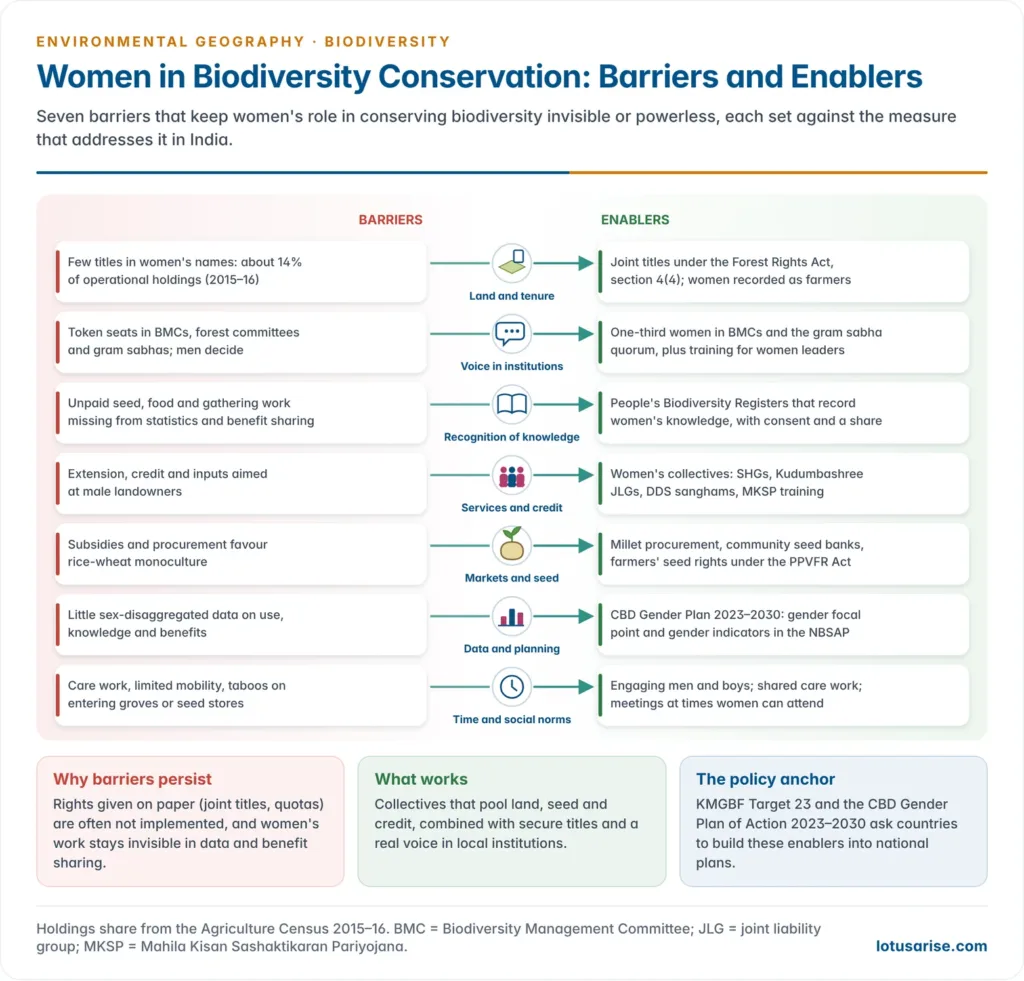 Two-sided chart setting barriers to women's role in biodiversity conservation, such as missing land titles, token participation, invisible work and biased extension, against enablers such as joint titles under the Forest Rights Act, women's quotas in gram sabhas and BMCs, seed banks, collectives and the CBD Gender Plan of Action