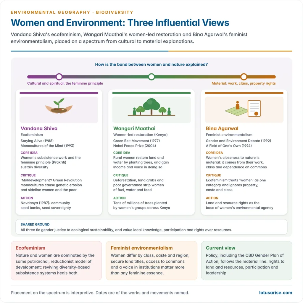 Comparison of three thinkers on women and environment: Vandana Shiva's ecofeminism and critique of maldevelopment, Bina Agarwal's feminist environmentalism grounded in land rights, and Wangari Maathai's Green Belt Movement of women tree planters