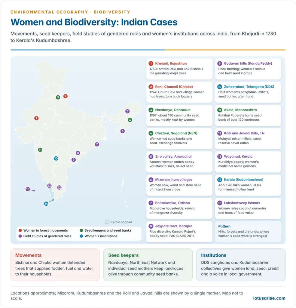 Map of the whole of India marking gender-and-biodiversity cases: Khejarli, Reni, Navdanya at Dehradun, Chizami, Ziro, Mizoram, Bhitarkanika, Koraput, Zaheerabad, the Godavari hills, Akole, the Kolli and Javadi hills, Wayanad, Kerala's Kudumbashree and Lakshadweep, with a note on each