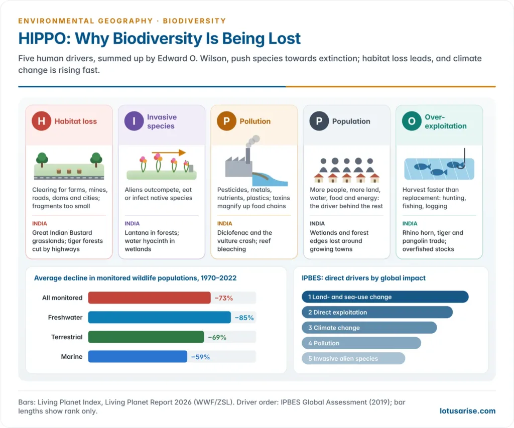 Five drivers of biodiversity loss under the HIPPO acronym, habitat loss, invasive species, pollution, population and over-exploitation, acting on a forest and river landscape, with a bar chart of Living Planet Index declines by ecosystem from 1970 to 2022