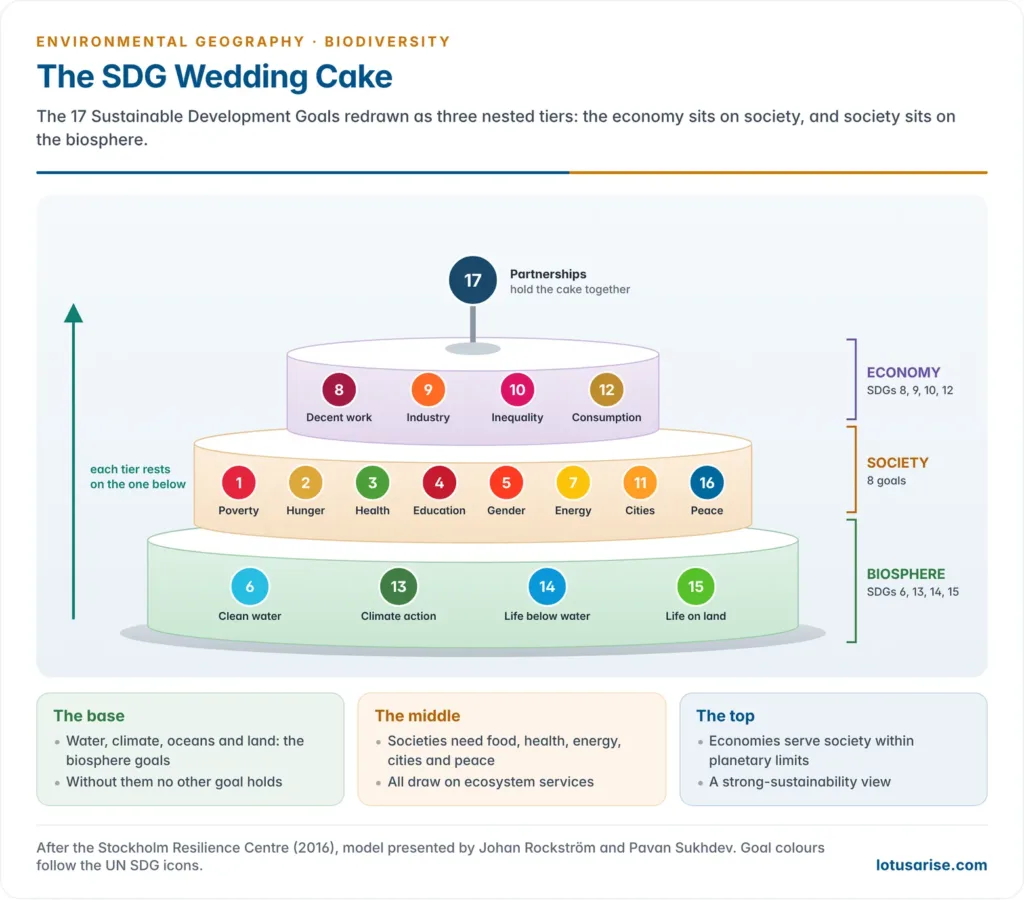 The SDG wedding cake model with the biosphere goals 6, 13, 14 and 15 forming the base tier, eight society goals in the middle tier, four economy goals on top and goal 17 at the summit