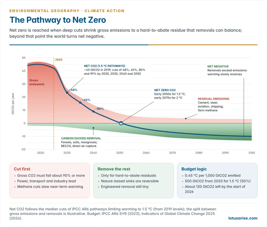 Illustrative global emissions pathway showing gross emissions falling steeply to a small residual, carbon dioxide removals growing below the zero line, and net emissions crossing zero around mid-century before turning net negative