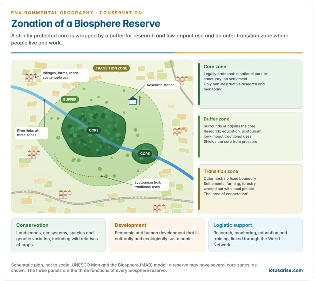 Landscape cross-section and plan of a biosphere reserve with a strictly protected forest core zone, a buffer zone used for research, education and ecotourism, and a transition zone with villages, farms and sustainable land use