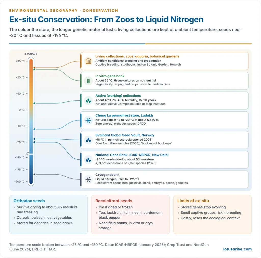 Ex-situ conservation methods shown as zoos and captive breeding, aquaria, botanical gardens, seed banks, field and in vitro gene banks, and cryopreservation, placed along a storage temperature scale from room temperature to minus 196 degrees Celsius