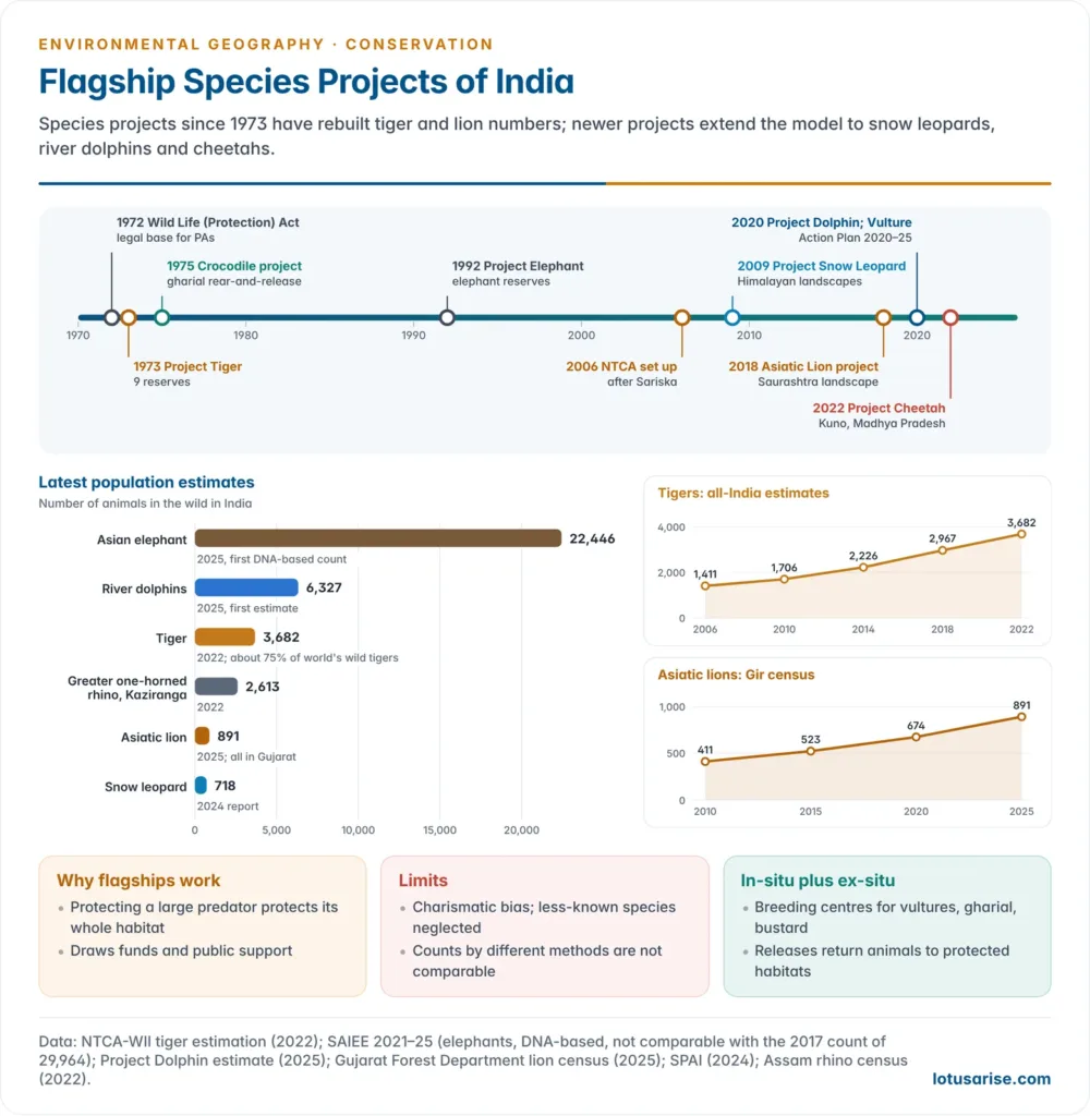 Timeline of India's flagship species conservation projects from Project Tiger in 1973 to Project Cheetah in 2022, with bars showing the latest population estimates of tigers, elephants, lions, snow leopards and river dolphins