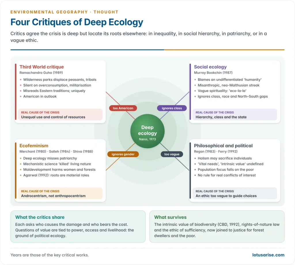 Map of the criticisms of deep ecology: Ramachandra Guha's Third World critique, Murray Bookchin's social ecology, the ecofeminism of Carolyn Merchant, Ariel Salleh and Vandana Shiva, and the charges of misanthropy, vagueness and authoritarianism, each with what it sees as the real cause of the crisis