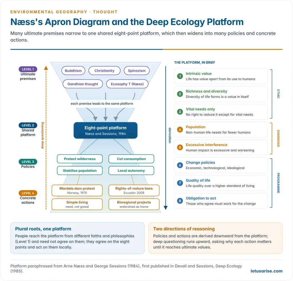 Næss's apron diagram showing many ultimate premises at the top narrowing to the shared eight-point deep ecology platform and widening again into many policies and concrete actions, with the eight points of the platform listed beside it