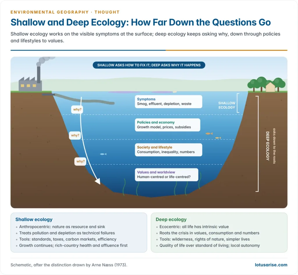 Cross-section of a lake in which shallow ecology works at the surface on the symptoms of pollution and depletion while deep ecology questions downward through policies and economic structures to values and worldview, with a side-by-side comparison of the two