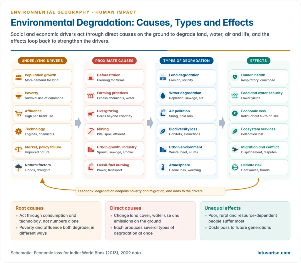 Flow chart linking the underlying drivers of environmental degradation (population, poverty, affluence, technology, market and policy failure) and natural factors, through proximate causes such as deforestation, farming, overgrazing, mining and urban growth, to the types of degradation of land, water, air, biodiversity and the atmosphere and their effects on health, livelihoods and climate