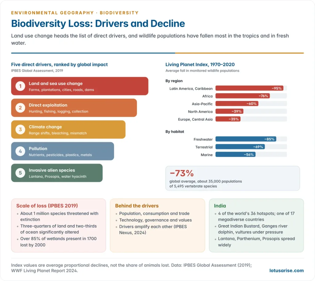 The five direct drivers of biodiversity loss ranked by IPBES with examples, and bar charts of the Living Planet Index decline from 1970 to 2020 by region and by habitat