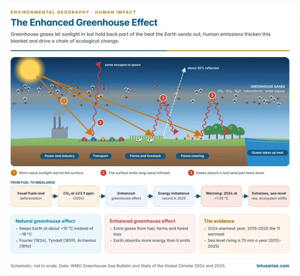 Cross-section of the Earth's surface and atmosphere showing incoming sunlight, outgoing infrared trapped by greenhouse gases from power plants, vehicles, farms and deforestation, with the causal chain from fossil fuel combustion to warming, extremes and sea-level rise