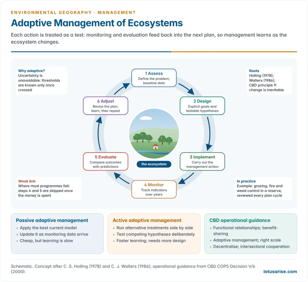 Adaptive management loop with six steps, assess, design, implement, monitor, evaluate and adjust, around a central ecosystem, with panels contrasting passive and active adaptive management and listing the five operational points of the CBD ecosystem approach