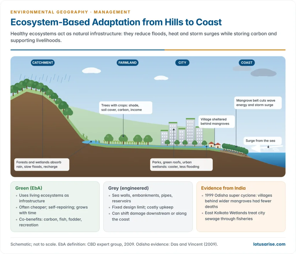Landscape from forested hills to a coast showing four kinds of ecosystem-based adaptation, catchment forests and wetlands for flood control, agroforestry on farms, green infrastructure in a city and a mangrove belt protecting a coastal village from storm surge, contrasted with grey infrastructure such as a sea wall and embankments
