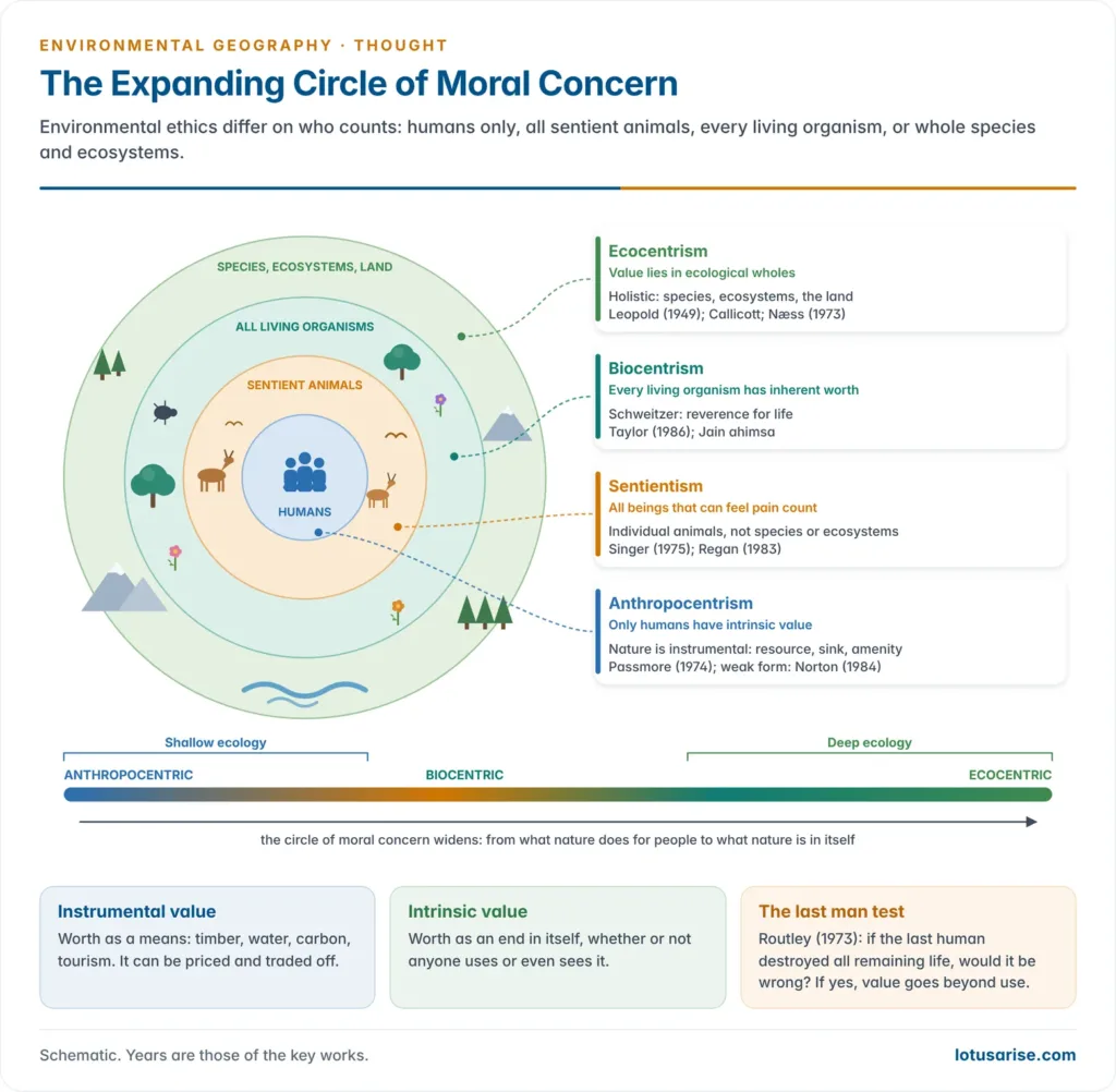 Expanding circles of moral concern from humans to sentient animals, all living organisms and whole ecosystems, set against a spectrum running from anthropocentric through biocentric to ecocentric ethics with the key thinkers of each