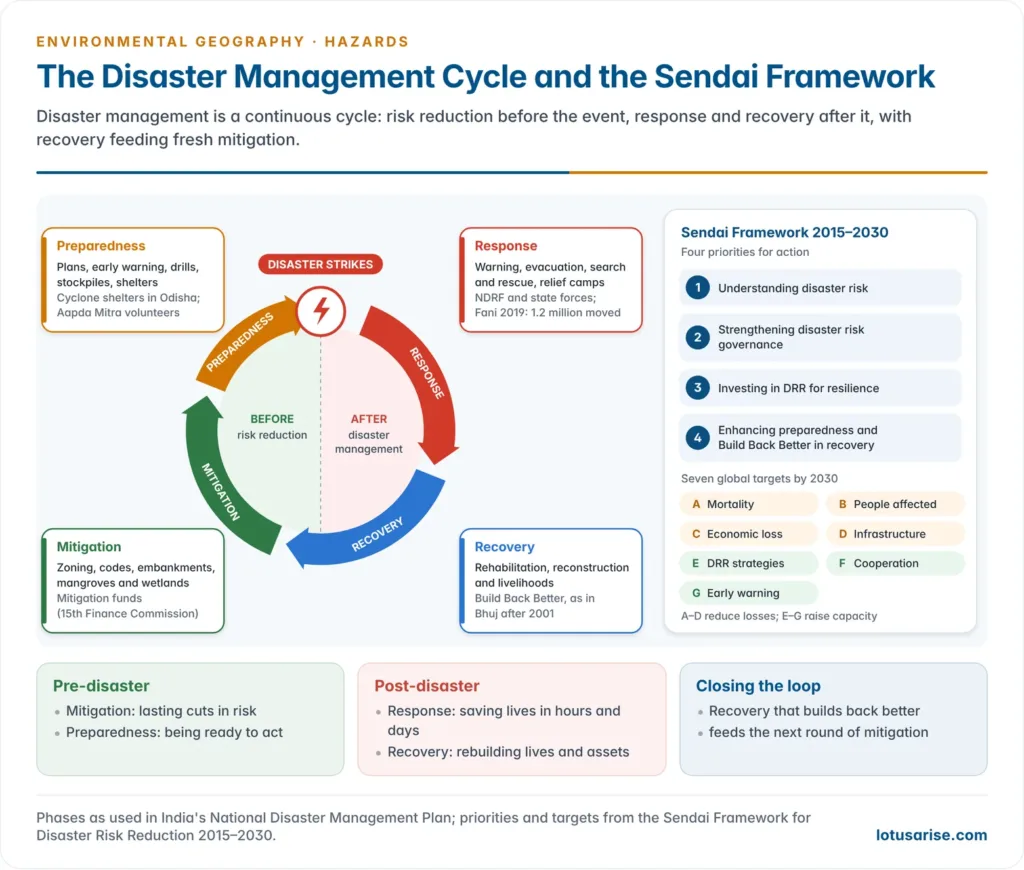 Circular disaster management cycle with four phases, mitigation and preparedness before the disaster and response and recovery after it, each with Indian examples, and the four Sendai Framework priorities shown alongside