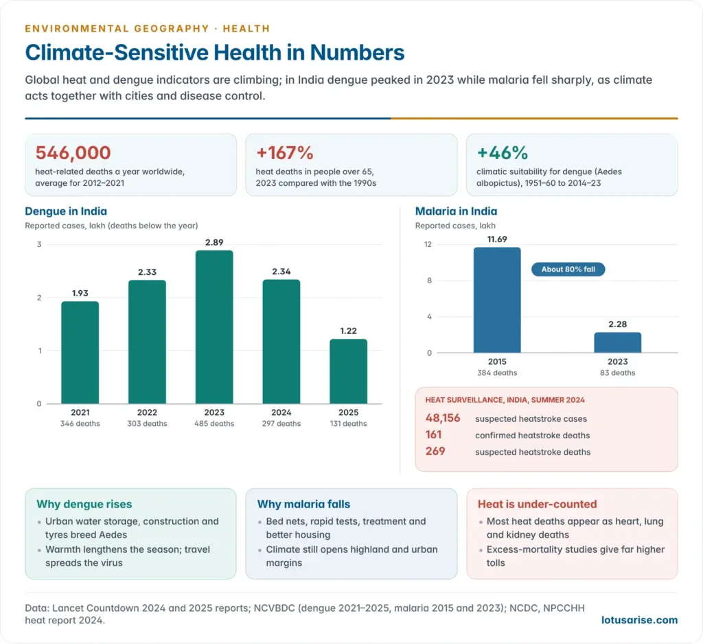 Charts of verified figures on climate-sensitive health in India and the world: dengue cases in India from 2021 to 2025, the fall in malaria cases between 2015 and 2023, heat surveillance counts for 2024, and global Lancet Countdown heat and dengue indicators
