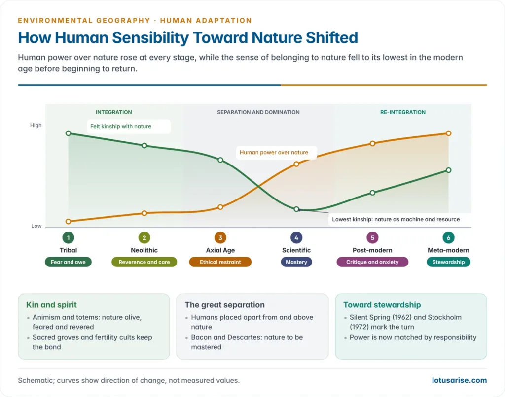 Schematic chart across six cultural stages showing human power over nature rising steeply while felt kinship with nature falls to its lowest in the modern stage and begins to recover, with the dominant sensibility labelled from fear and awe to reverence, ethical restraint, mastery, critique and stewardship