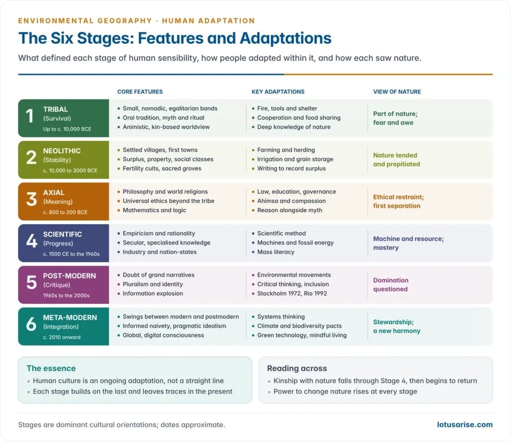 Six-row chart of the cultural stages from tribal to meta-modern, giving for each its dates, core features, key adaptations and view of nature, from survival and kinship to integration and stewardship