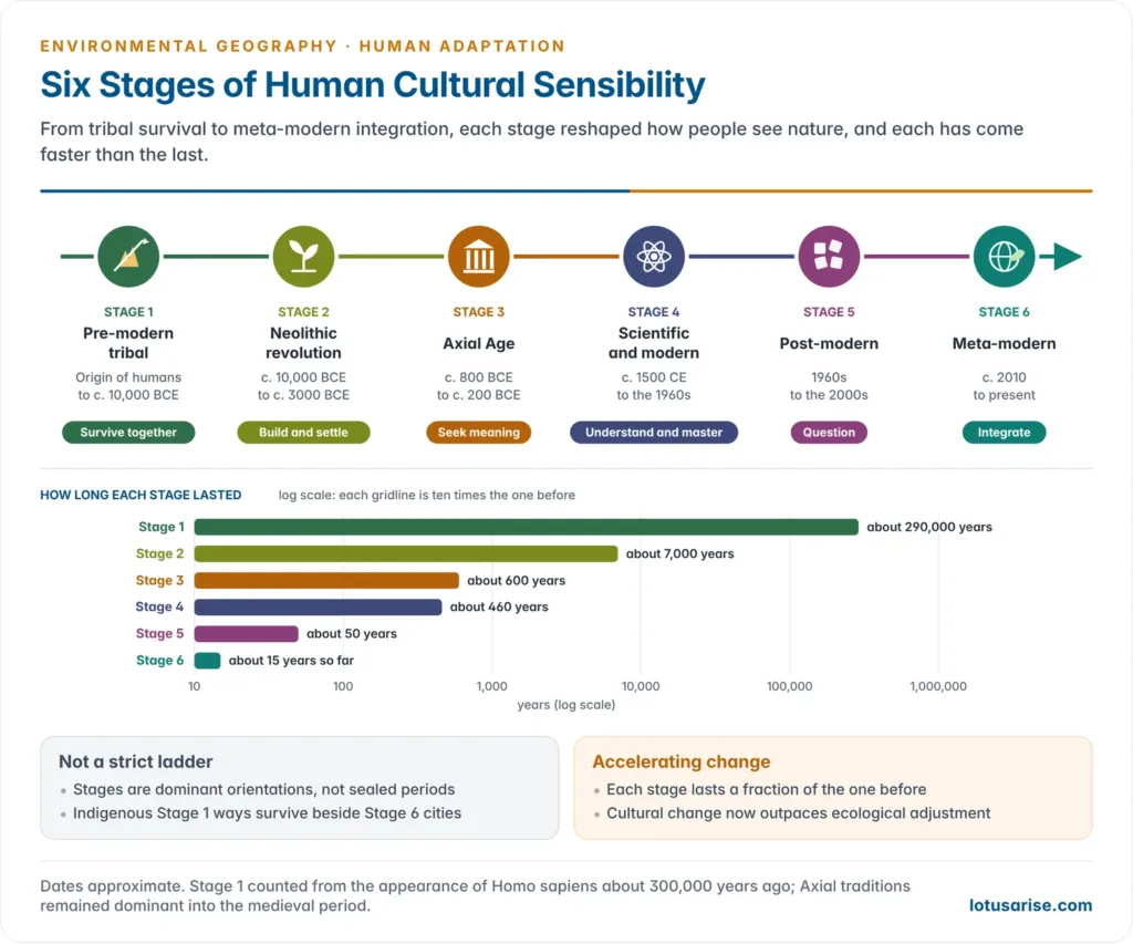 Timeline of six cultural stages, tribal, Neolithic, Axial, scientific, post-modern and meta-modern, with their dates and a log-scale bar showing each stage lasting far less time than the one before