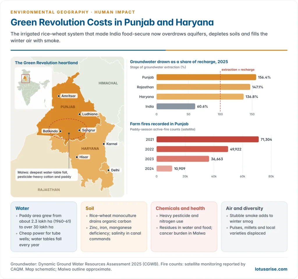 India map highlighting Punjab and Haryana with charts of groundwater extraction as a share of recharge in Punjab, Rajasthan, Haryana and India in 2025 and Punjab farm fire counts from 2021 to 2024, with panels on water, soil, agrochemical and air impacts of the Green Revolution