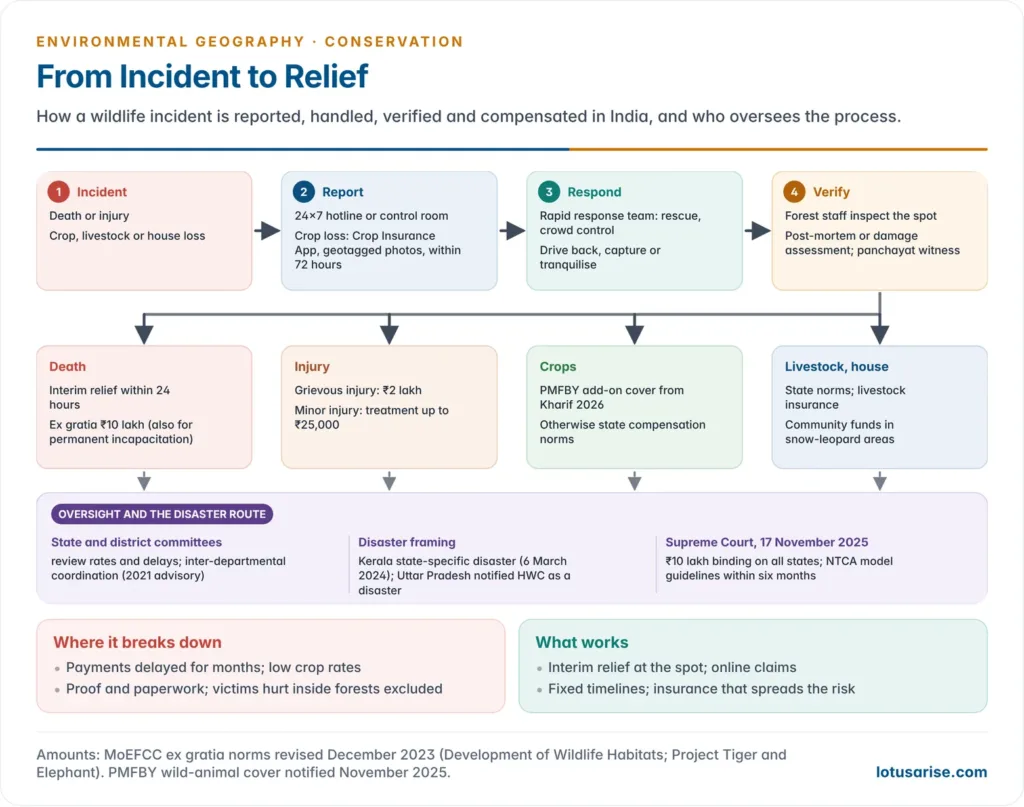 Flowchart of response to a wildlife incident in India, from the incident and report by hotline or app through rapid response, verification by the forest department and interim relief within 24 hours, to ex gratia of 10 lakh rupees for death, crop insurance claims within 72 hours and review by state and district committees