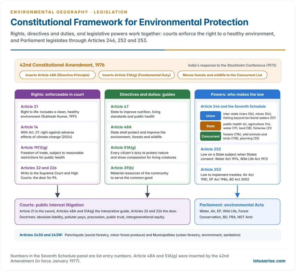 Constitutional map of environmental protection in India linking Article 21 and Article 14 rights, Directive Principles 47 and 48A, the Fundamental Duty 51A(g), legislative powers under Articles 246, 252 and 253, writ remedies under Articles 32 and 226, and the Panchayat and Municipal schedules to the Acts and court doctrines they support