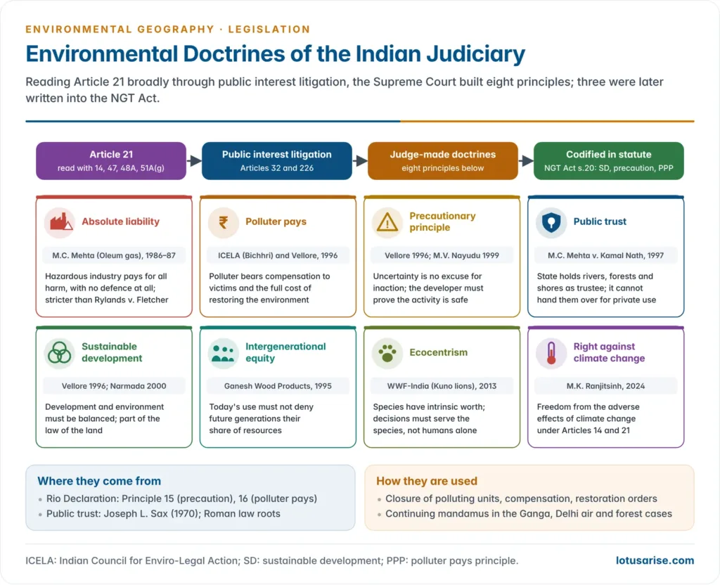 Eight environmental doctrines developed by Indian courts, from absolute liability, polluter pays, precautionary principle and public trust to sustainable development, intergenerational equity, ecocentrism and the right against climate change, each with its leading case, year and core idea, flowing from Article 21 and public interest litigation into Section 20 of the NGT Act