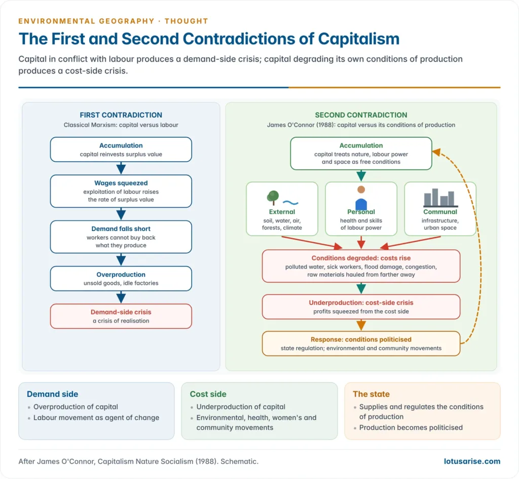 Two flow diagrams compared: the first contradiction runs from wage squeeze to unsold goods and a demand-side crisis, while the second runs from capital degrading nature, labour power and urban space to rising costs, a cost-side crisis, and pressure from social movements and the state
