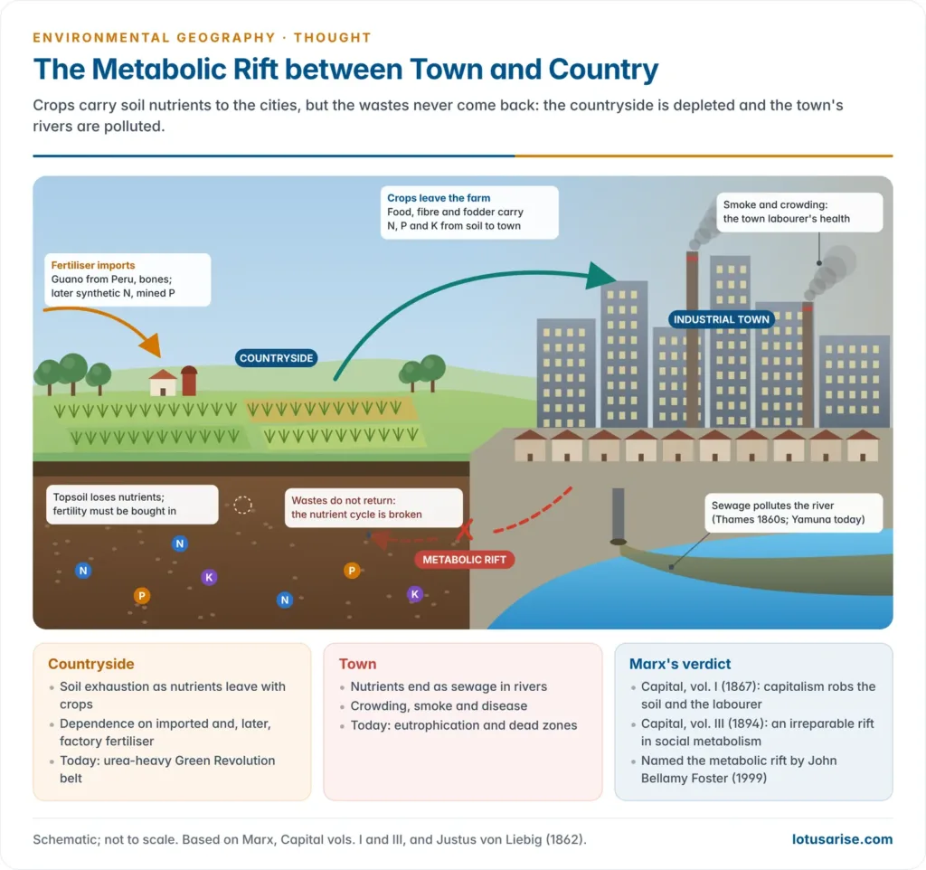 Town and country linked by a nutrient cycle: crops carry nitrogen, phosphorus and potassium from rural fields to an industrial city, city sewage flows into the river instead of returning to the soil, and imported guano and synthetic fertiliser fill the gap, showing the metabolic rift
