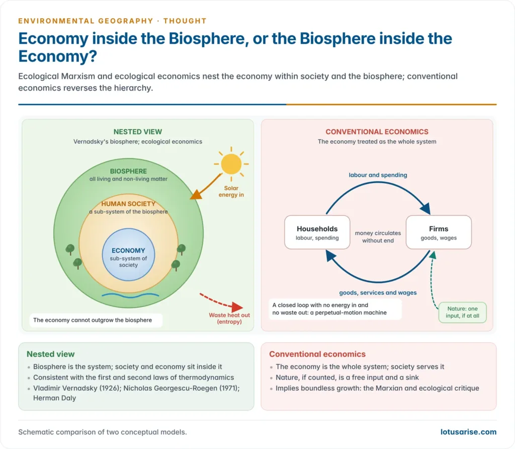 Two views compared: on the left the economy nested inside human society nested inside the biosphere, with solar energy entering and waste heat leaving; on the right the conventional circular flow between households and firms treated as the whole system, with nature reduced to a small input box