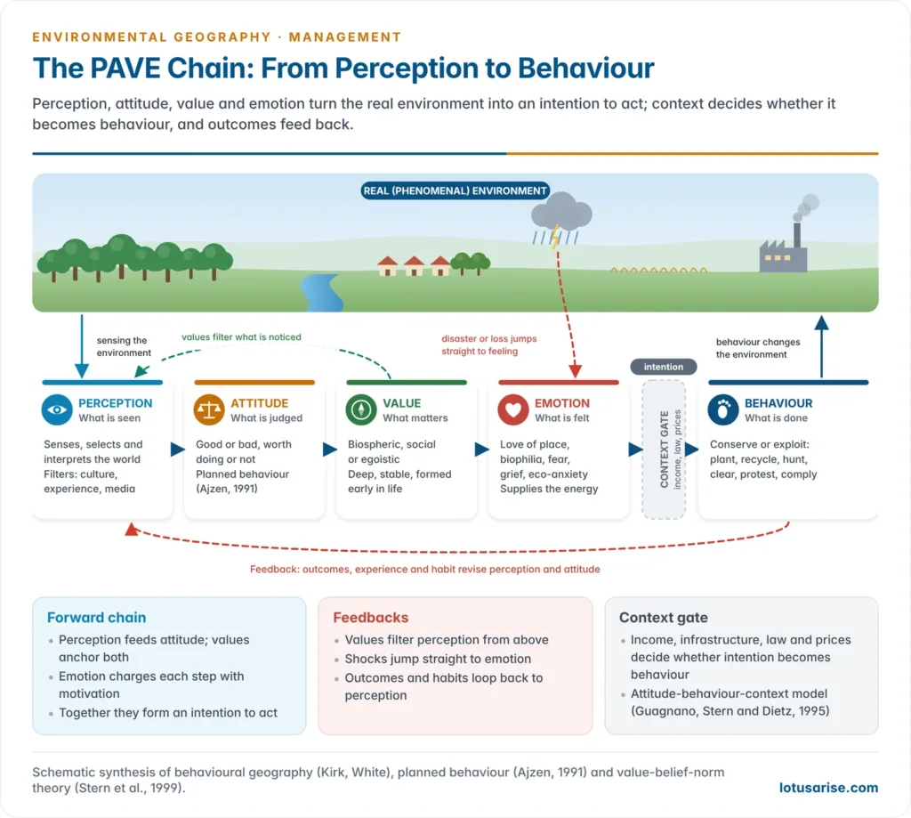 Flow from the real environment through perception, attitude, value and emotion to intention and behaviour, with context as a gate before behaviour, behaviour changing the environment, and feedback arrows from experience to perception, from values down to perception and from emotional shocks to attitudes