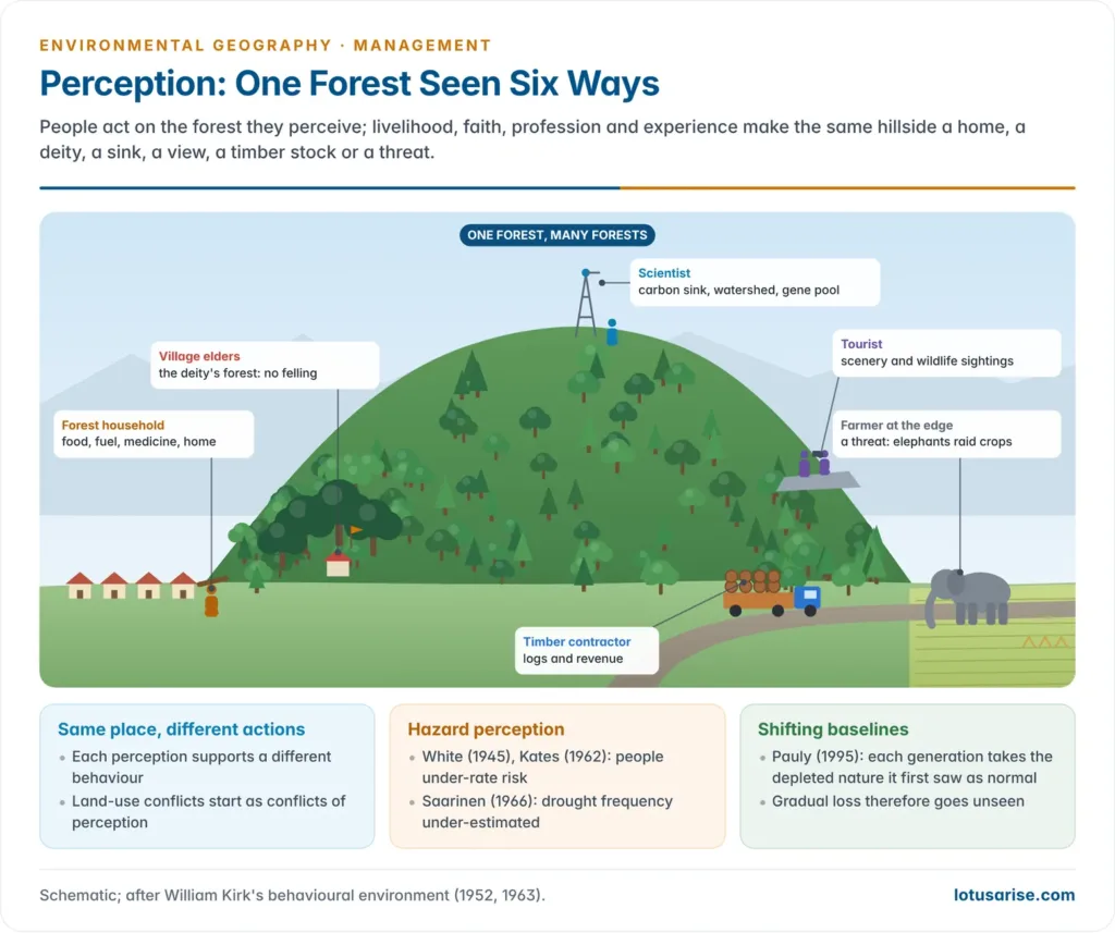 A forested hill with a village, a sawmill truck, a farm raided by elephants, a researcher and tourists, each labelled with how that group perceives the same forest: timber, livelihood and sacred grove, threat, carbon sink and gene pool, and scenery