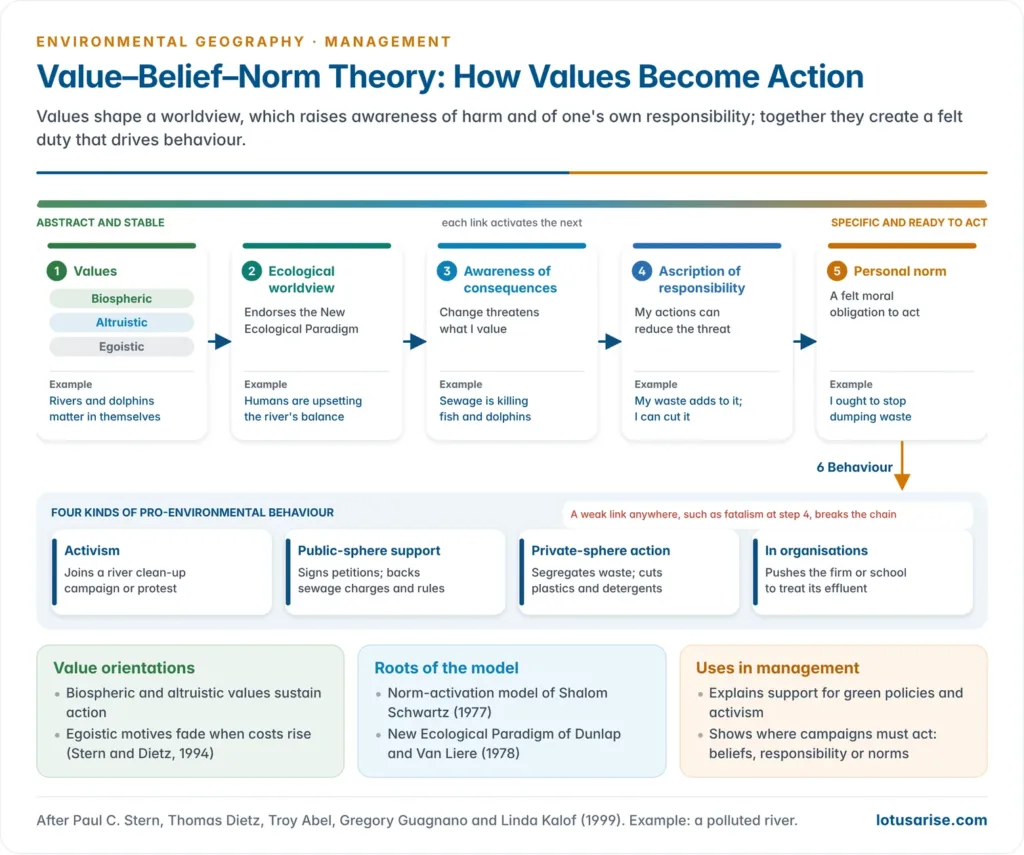 Value-belief-norm chain from biospheric, altruistic and egoistic values through ecological worldview, awareness of consequences and ascription of responsibility to a personal norm and four kinds of pro-environmental behaviour, with a river-pollution example at each step