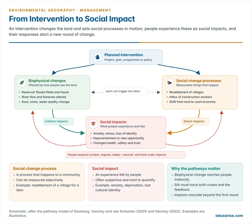 Flow diagram showing a planned intervention producing biophysical changes and social change processes, which lead to indirect and direct social impacts, with second-order impacts feeding back, beside a comparison of social change as a measurable process and social impact as a lived experience