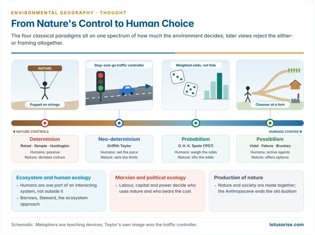 Spectrum bar from nature controls to humans choose, with determinism shown as a puppet, neo-determinism as a traffic controller, probabilism as weighted dice and possibilism as a chooser at a fork, and later views that reject the dualism